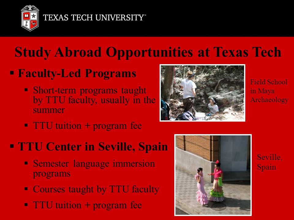 Study Abroad Opportunities at Texas Tech  Faculty-Led Programs  Short-term programs taught by TTU faculty, usually in the summer  TTU tuition + program fee  TTU Center in Seville, Spain  Semester language immersion programs  Courses taught by TTU faculty  TTU tuition + program fee Seville, Spain Field School in Maya Archaeology