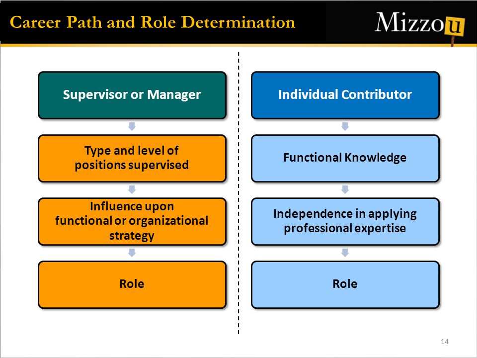 Supervisor or Manager Type and level of positions supervised Influence upon functional or organizational strategy Role Individual Contributor Functional Knowledge Independence in applying professional expertise Role Career Path and Role Determination 14