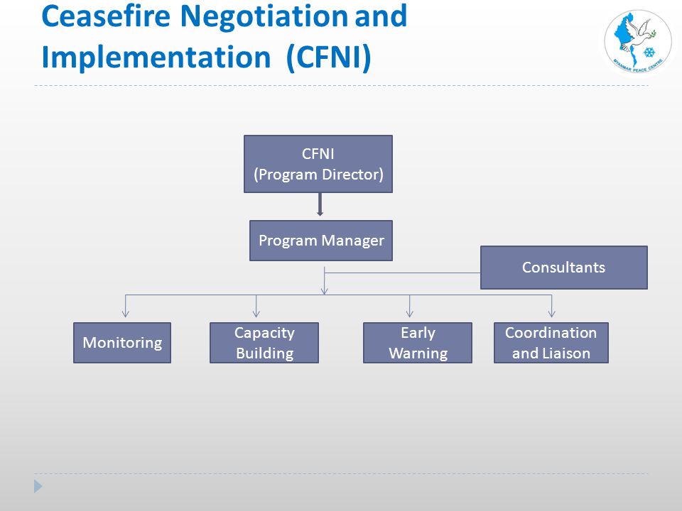 Ceasefire Negotiation and Implementation (CFNI) CFNI (Program Director) Program Manager Monitoring Capacity Building Early Warning Coordination and Liaison Consultants