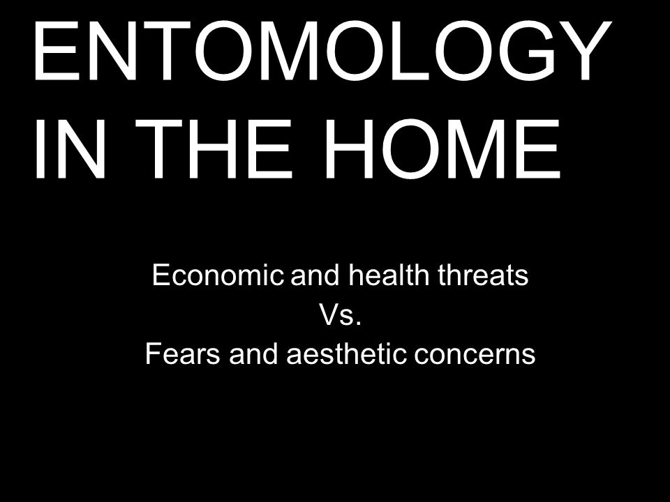 ENTOMOLOGY IN THE HOME Economic and health threats Vs. Fears and aesthetic concerns