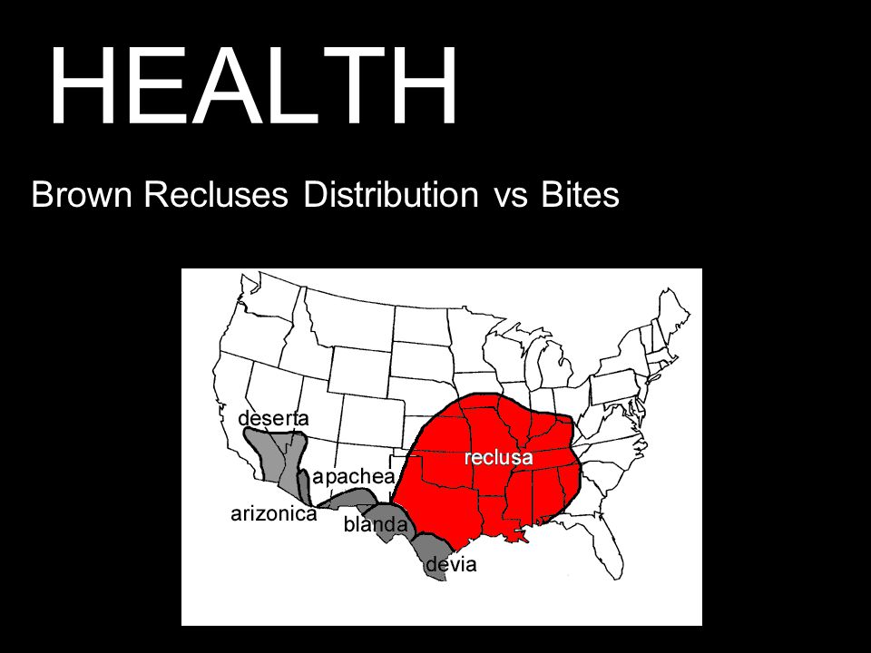 HEALTH Brown Recluses Distribution vs Bites