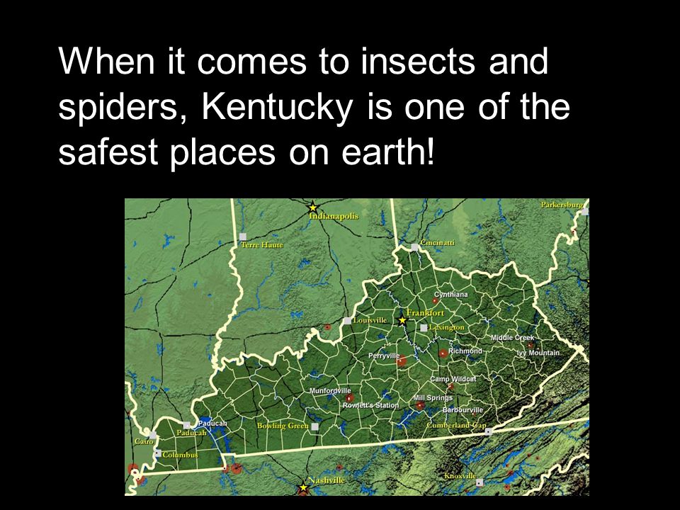 When it comes to insects and spiders, Kentucky is one of the safest places on earth!