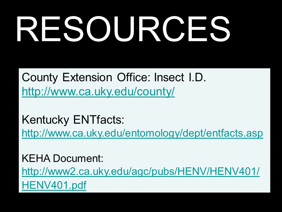 RESOURCES County Extension Office: Insect I.D.