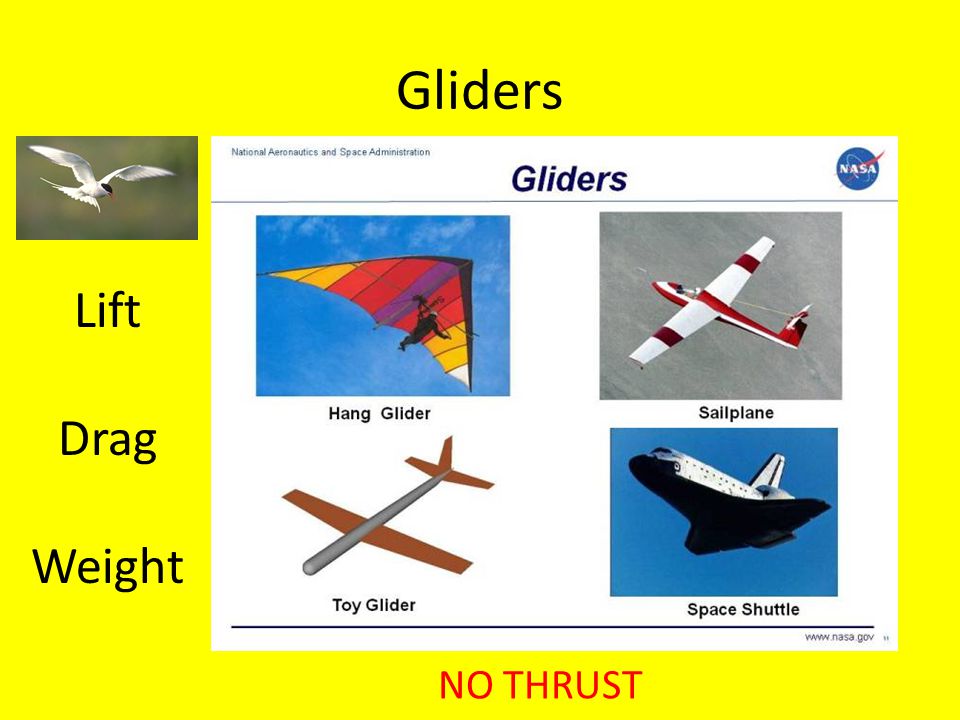 Gliders Lift Drag Weight NO THRUST