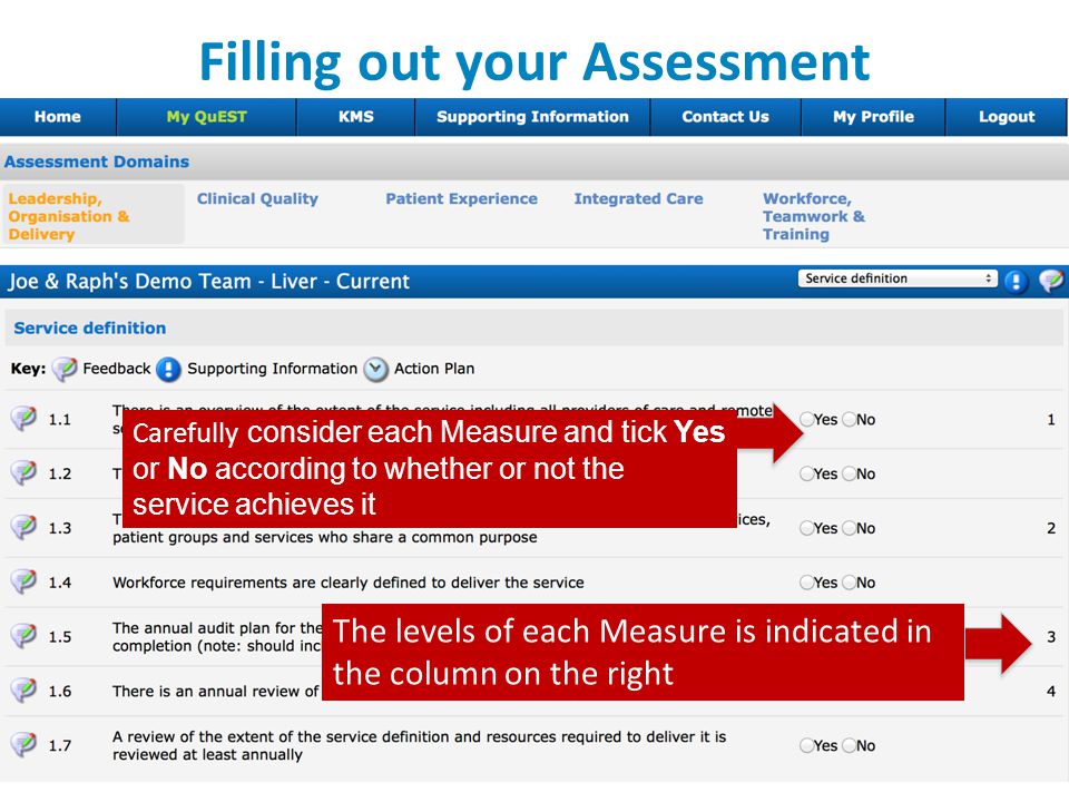 Filling out your Assessment The levels of each Measure is indicated in the column on the right Carefully consider each Measure and tick Yes or No according to whether or not the service achieves it