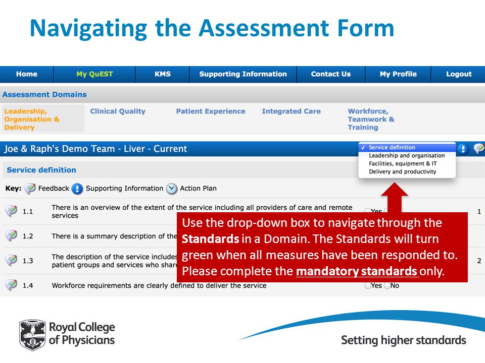Navigating the Assessment Form Use the drop-down box to navigate through the Standards in a Domain.