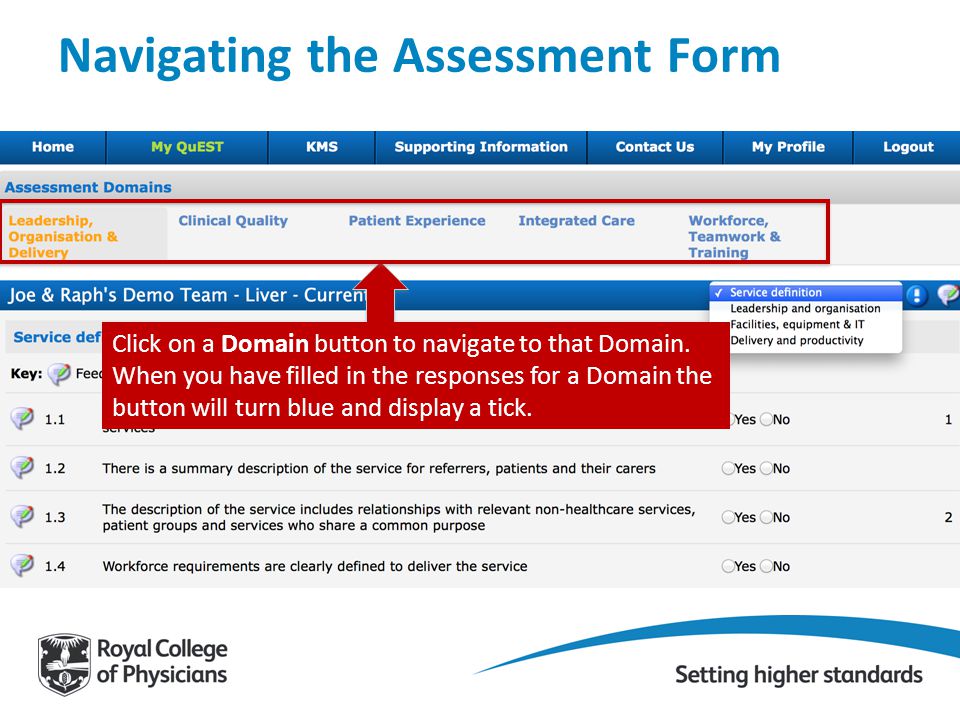 Navigating the Assessment Form Click on a Domain button to navigate to that Domain.