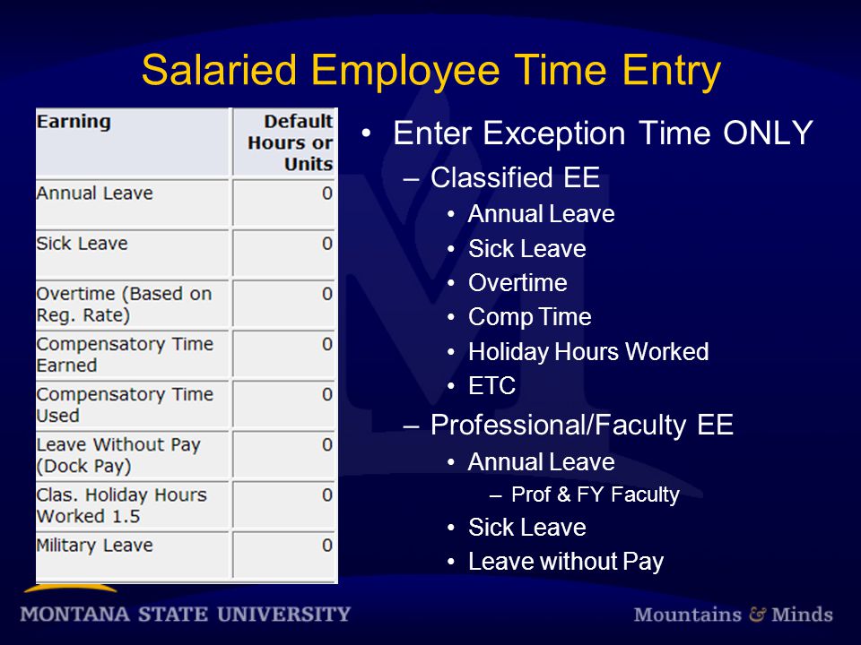 Salaried Employee Time Entry Enter Exception Time ONLY –Classified EE Annual Leave Sick Leave Overtime Comp Time Holiday Hours Worked ETC –Professional/Faculty EE Annual Leave –Prof & FY Faculty Sick Leave Leave without Pay