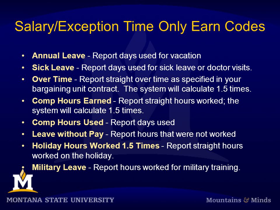 Salary/Exception Time Only Earn Codes Annual Leave - Report days used for vacation Sick Leave - Report days used for sick leave or doctor visits.
