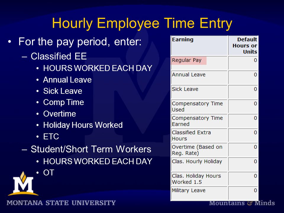 Hourly Employee Time Entry For the pay period, enter: –Classified EE HOURS WORKED EACH DAY Annual Leave Sick Leave Comp Time Overtime Holiday Hours Worked ETC –Student/Short Term Workers HOURS WORKED EACH DAY OT