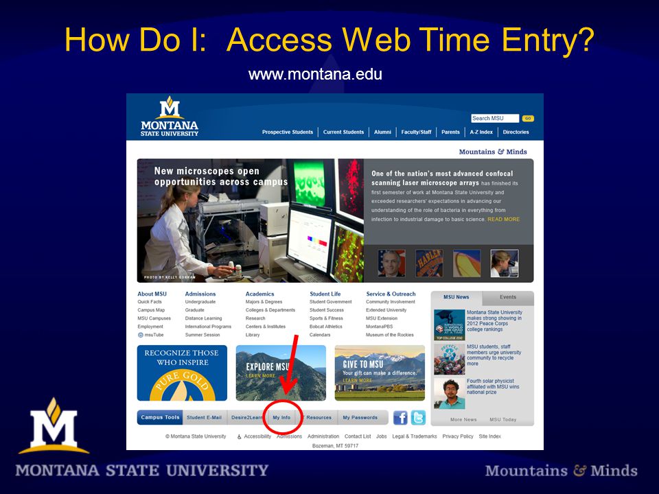 How Do I: Access Web Time Entry