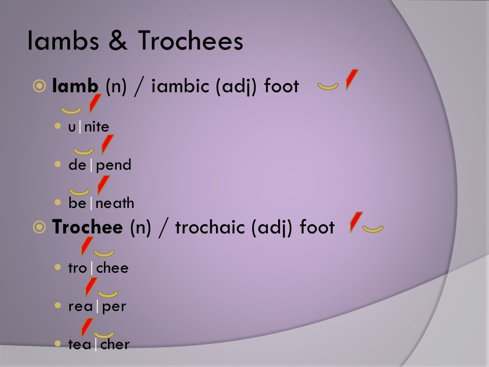 Iambs & Trochees  Iamb (n) / iambic (adj) foot u | nite de | pend be | neath  Trochee (n) / trochaic (adj) foot tro | chee rea | per tea | cher