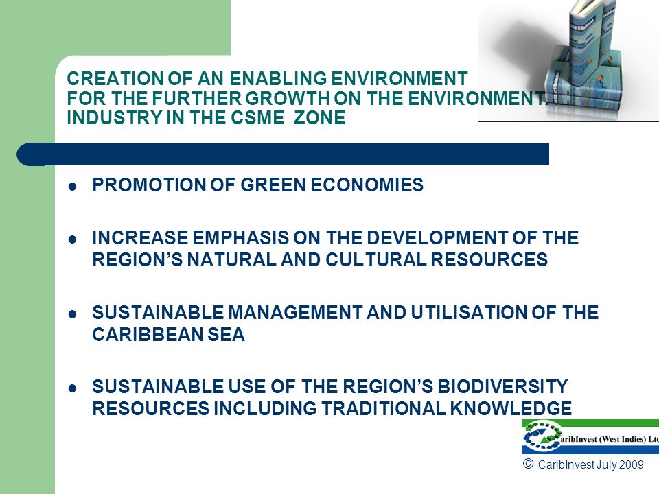CREATION OF AN ENABLING ENVIRONMENT FOR THE FURTHER GROWTH ON THE ENVIRONMENTAL INDUSTRY IN THE CSME ZONE PROMOTION OF GREEN ECONOMIES INCREASE EMPHASIS ON THE DEVELOPMENT OF THE REGION’S NATURAL AND CULTURAL RESOURCES SUSTAINABLE MANAGEMENT AND UTILISATION OF THE CARIBBEAN SEA SUSTAINABLE USE OF THE REGION’S BIODIVERSITY RESOURCES INCLUDING TRADITIONAL KNOWLEDGE © CaribInvest July 2009