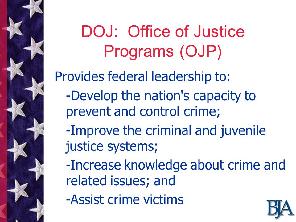 DOJ: Office of Justice Programs (OJP) Provides federal leadership to: -Develop the nation s capacity to prevent and control crime; -Improve the criminal and juvenile justice systems; -Increase knowledge about crime and related issues; and -Assist crime victims