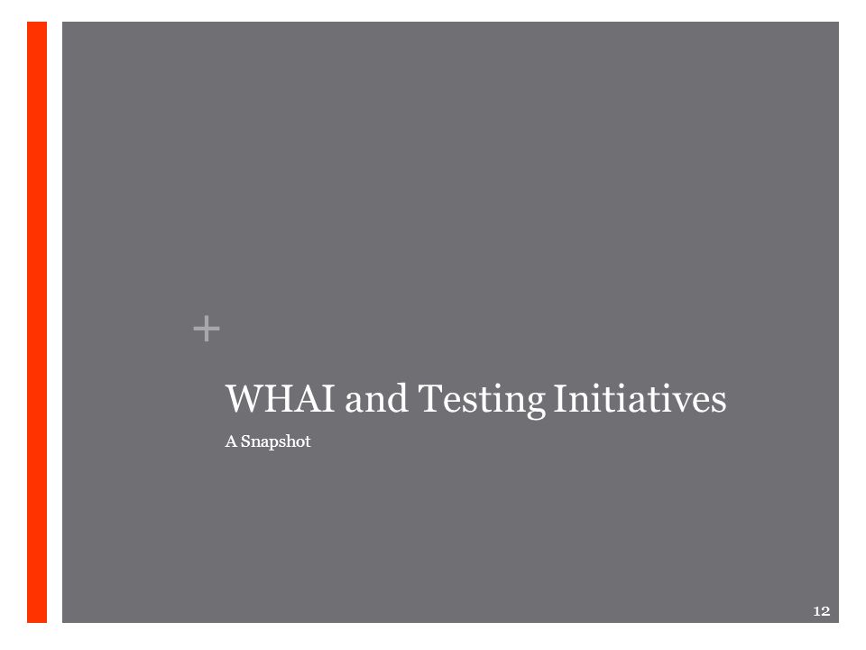 + WHAI and Testing Initiatives A Snapshot 12