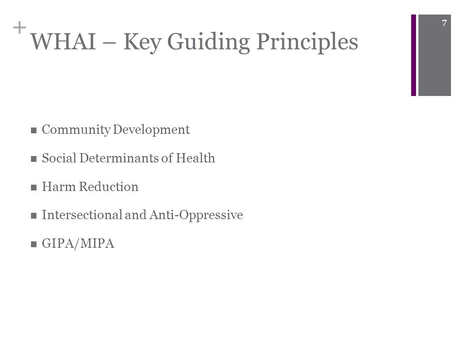 + WHAI – Key Guiding Principles Community Development Social Determinants of Health Harm Reduction Intersectional and Anti-Oppressive GIPA/MIPA 7