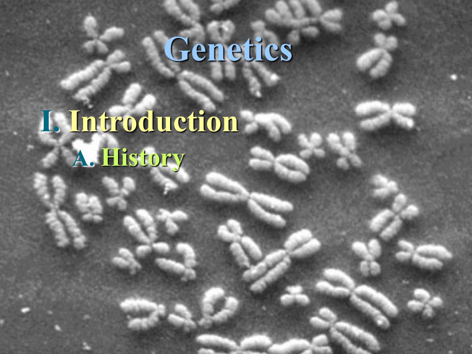 Genetics I. Introduction A. A. History