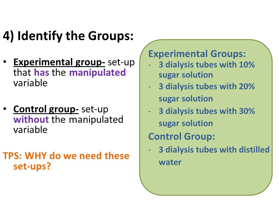 4) Identify the Groups: Experimental group- set-up that has the manipulated variable Control group- set-up without the manipulated variable TPS: WHY do we need these set-ups.