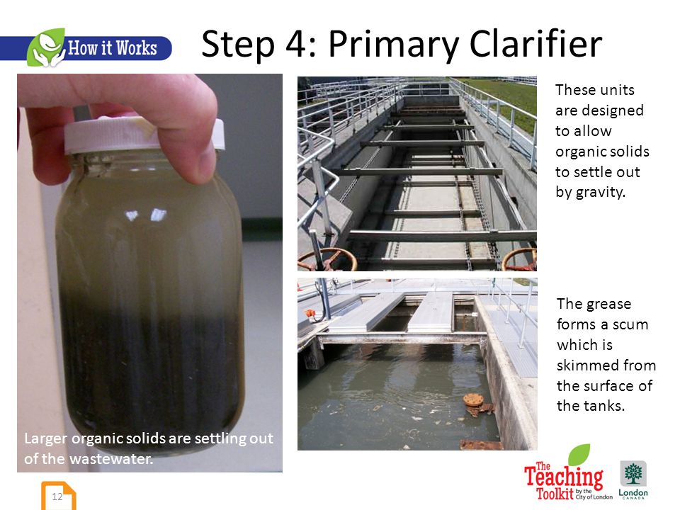 Step 4: Primary Clarifier Larger organic solids are settling out of the wastewater.