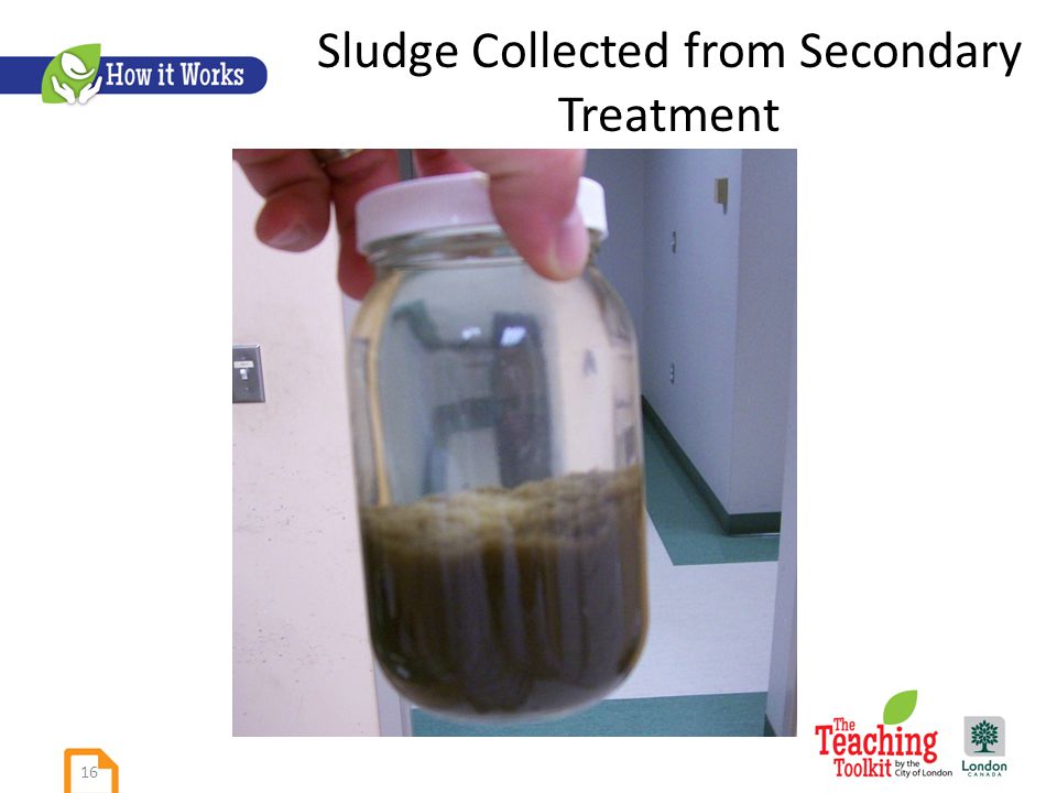 Sludge Collected from Secondary Treatment 16