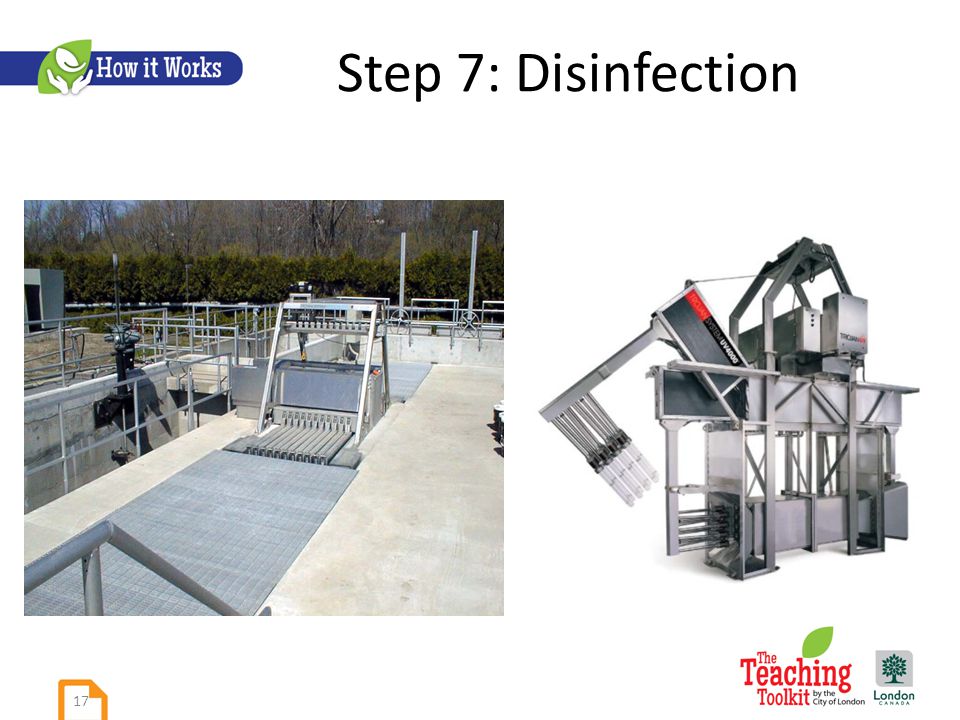 Step 7: Disinfection 17