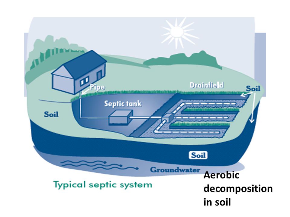 Aerobic decomposition in soil