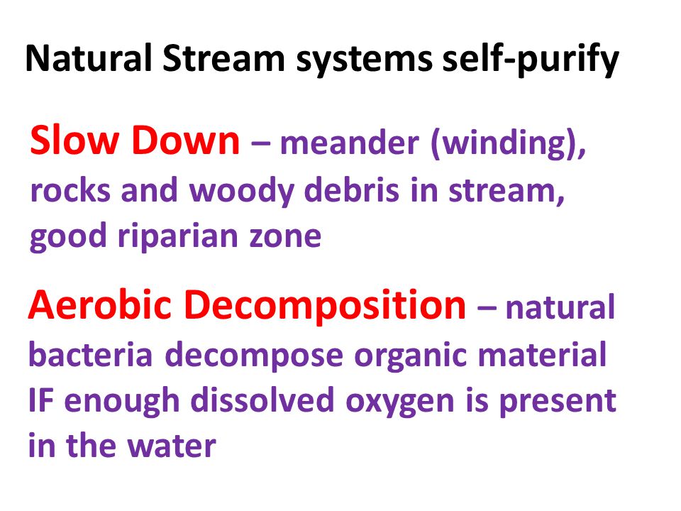 Natural Stream systems self-purify Slow Down – meander (winding), rocks and woody debris in stream, good riparian zone Aerobic Decomposition – natural bacteria decompose organic material IF enough dissolved oxygen is present in the water