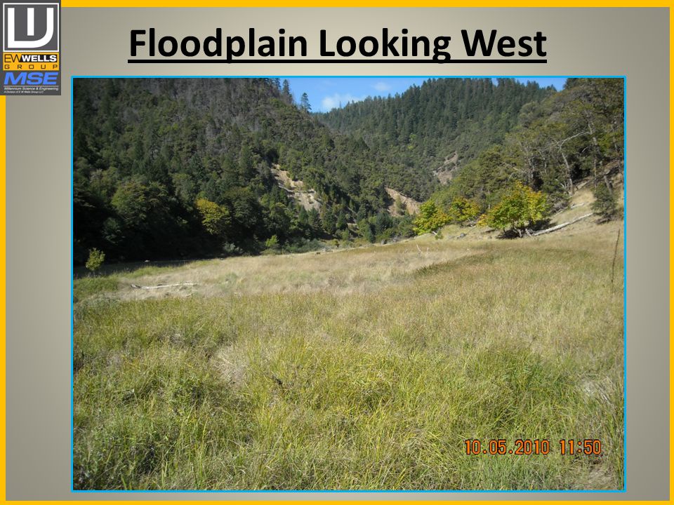 Floodplain Looking West