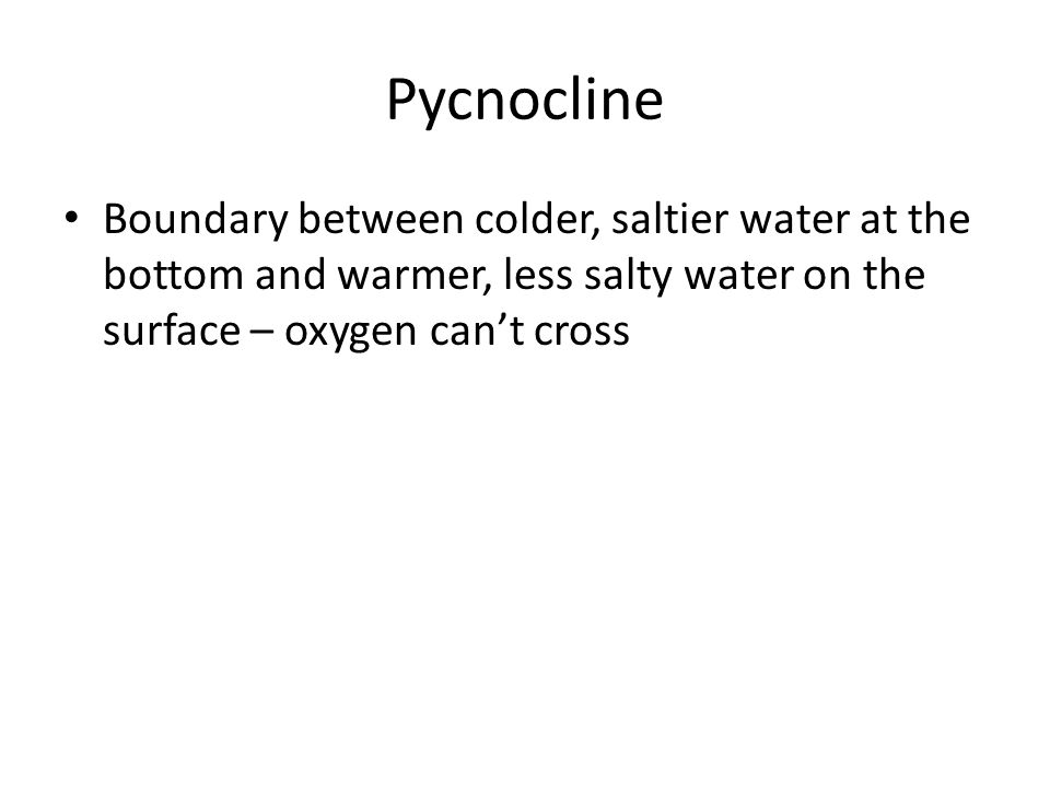 Pycnocline Boundary between colder, saltier water at the bottom and warmer, less salty water on the surface – oxygen can’t cross