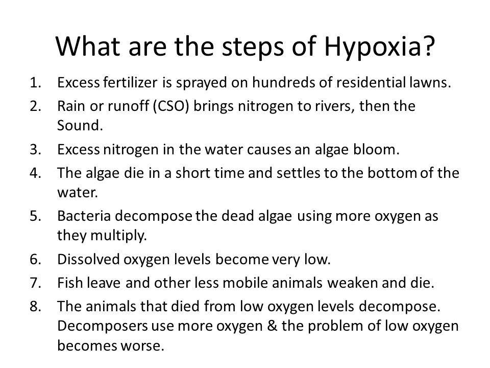 What are the steps of Hypoxia. 1.Excess fertilizer is sprayed on hundreds of residential lawns.