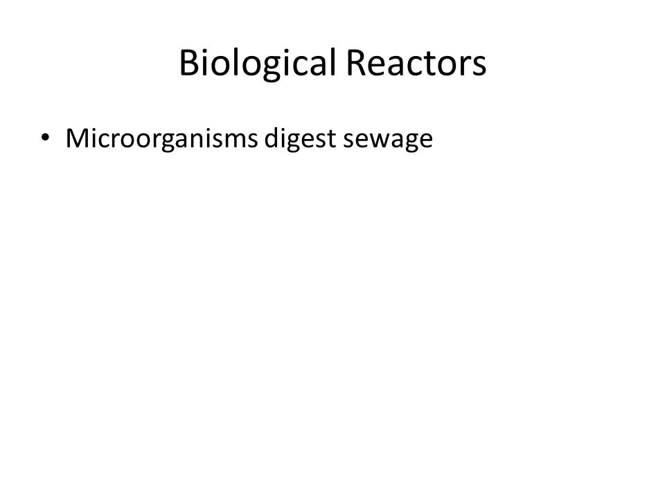 Biological Reactors Microorganisms digest sewage