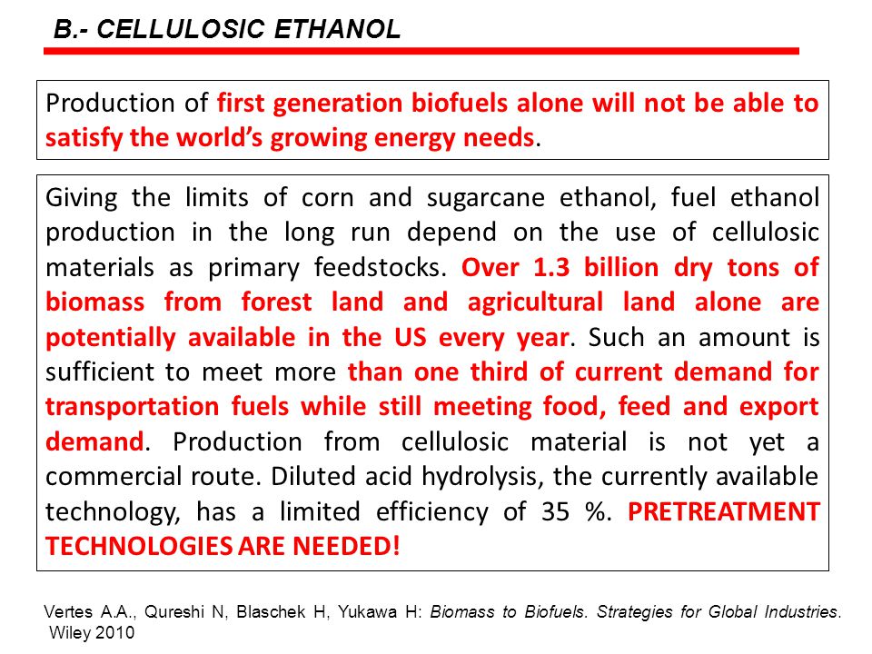 Biomass to Biofuels: Strategies for Global Industries