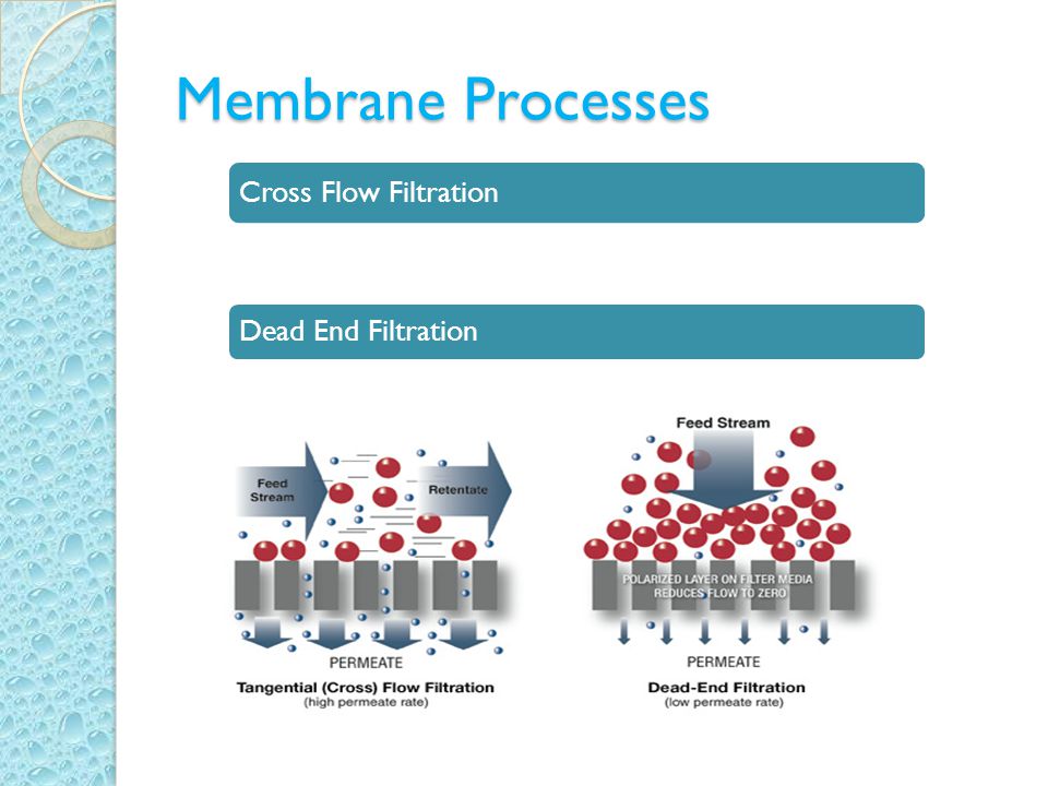 Membrane Processes Cross Flow Filtration Dead End Filtration