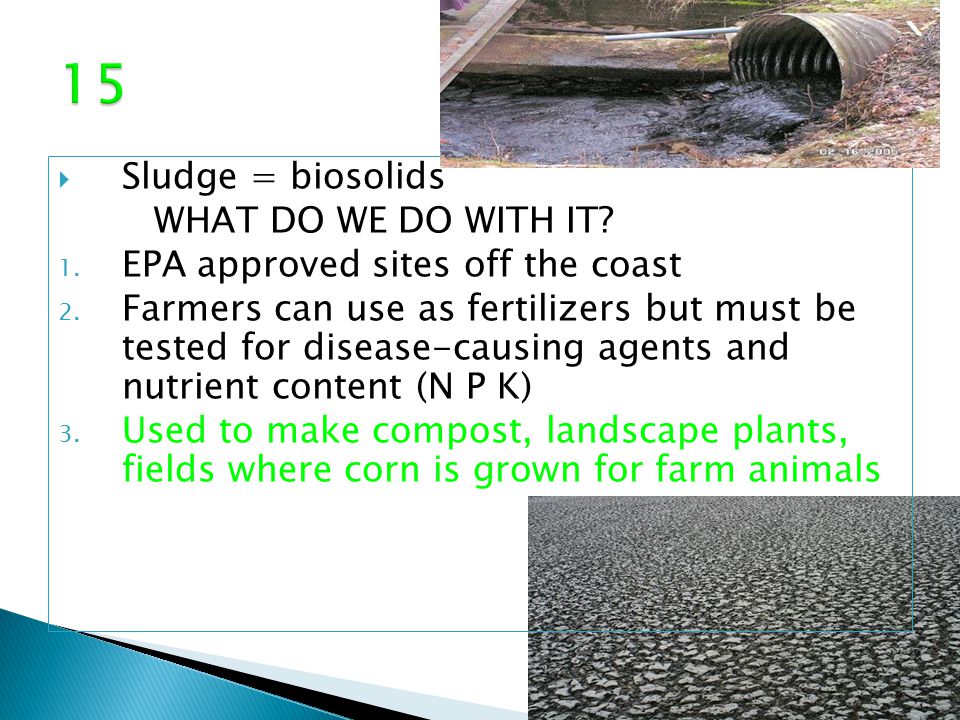  Sludge = biosolids WHAT DO WE DO WITH IT. 1. EPA approved sites off the coast 2.