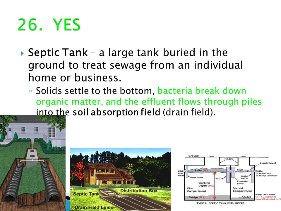  Septic Tank – a large tank buried in the ground to treat sewage from an individual home or business.
