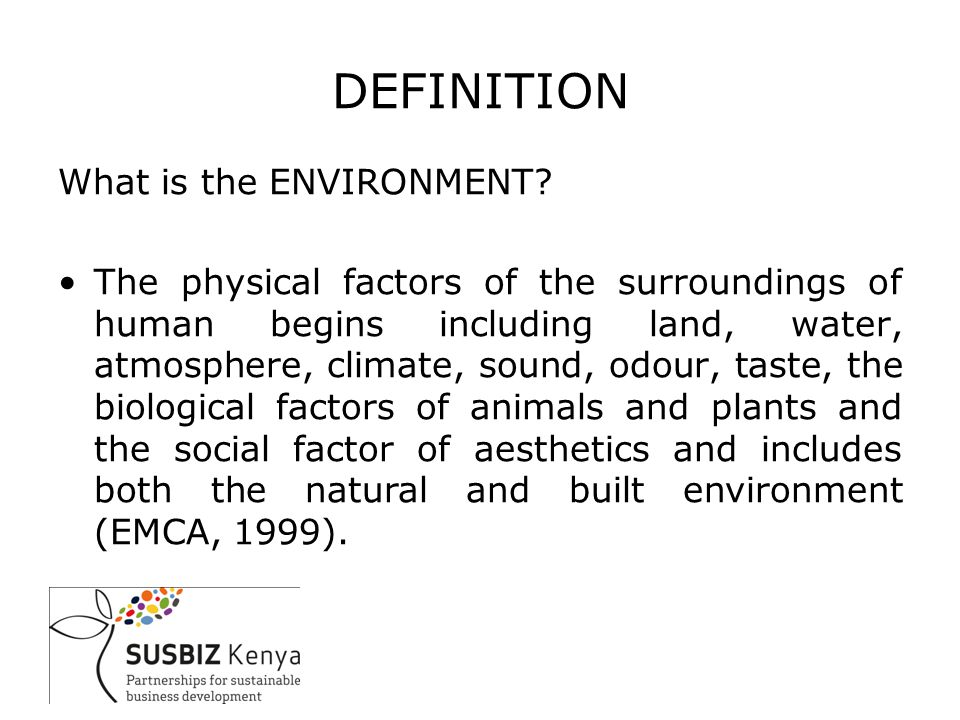 DEFINITION What is the ENVIRONMENT.