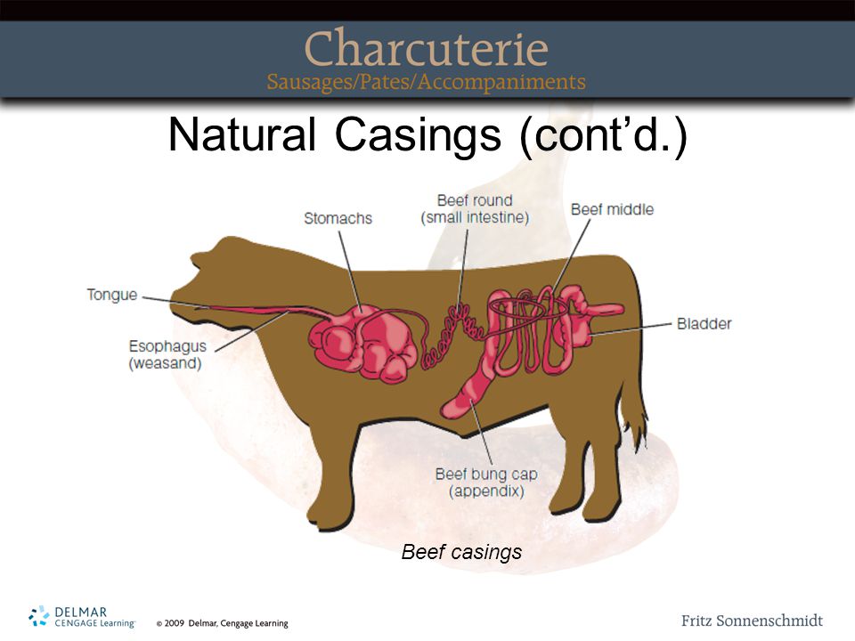 Chapter 4 Sausage Casings. Topics Covered Natural casings Synthetic or  cellulose casing Collagen casing Stuffing the casing Smoking the sausage  Poaching. - ppt download