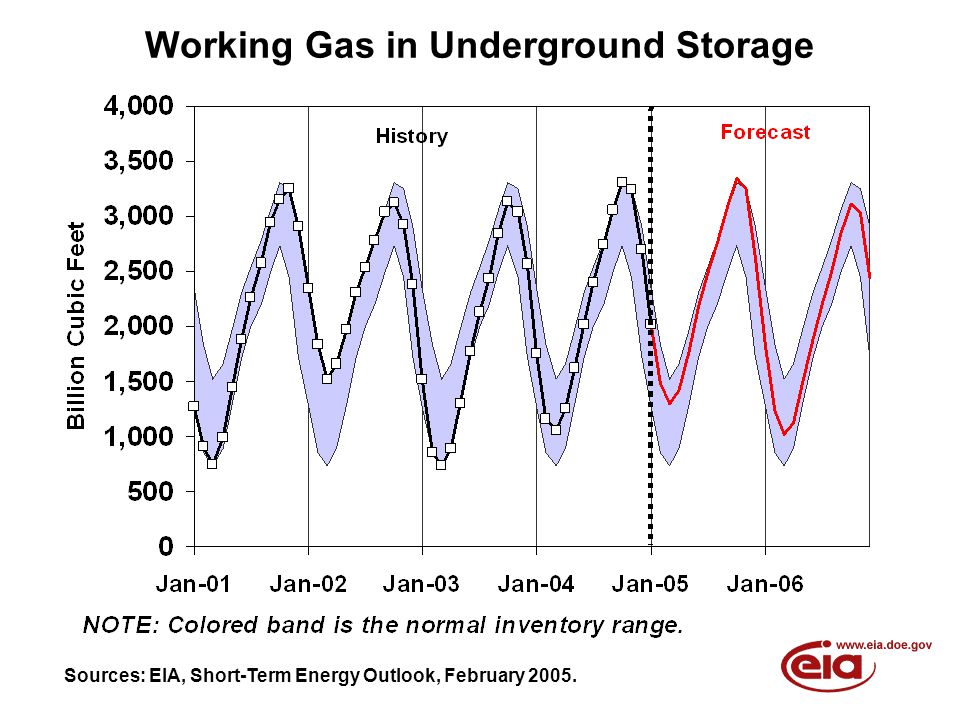 Working Gas in Underground Storage Sources: EIA, Short-Term Energy Outlook, February 2005.