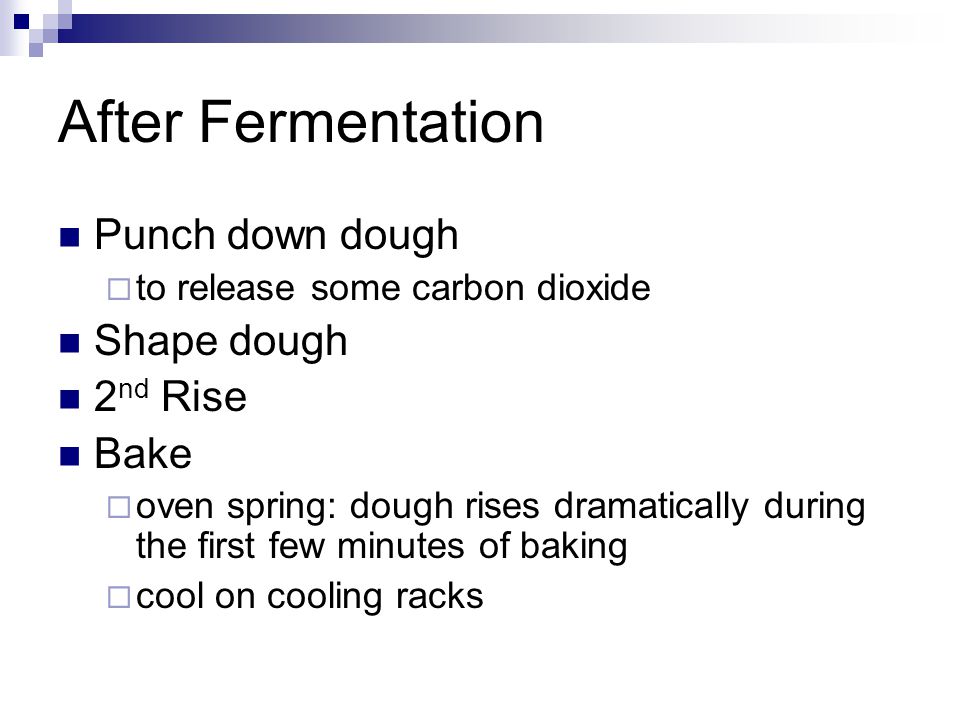 After Fermentation Punch down dough  to release some carbon dioxide Shape dough 2 nd Rise Bake  oven spring: dough rises dramatically during the first few minutes of baking  cool on cooling racks
