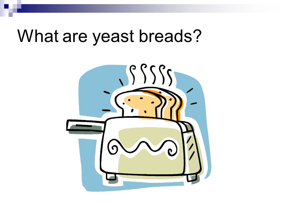 What are yeast breads