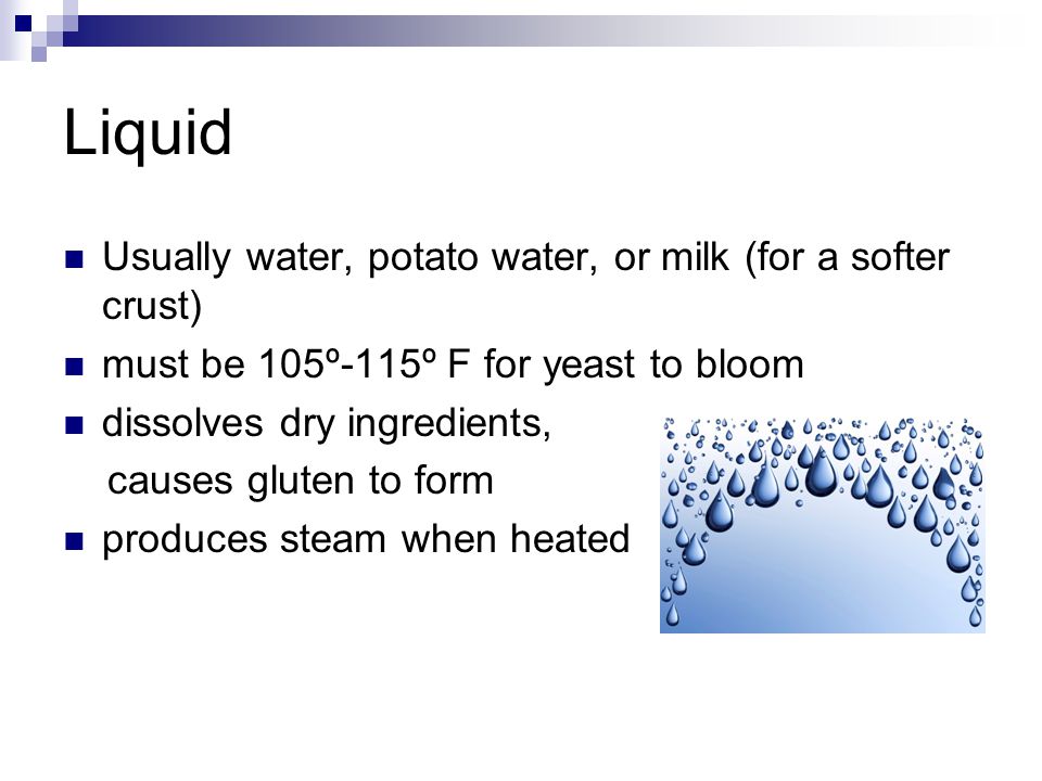 Liquid Usually water, potato water, or milk (for a softer crust) must be 105º-115º F for yeast to bloom dissolves dry ingredients, causes gluten to form produces steam when heated