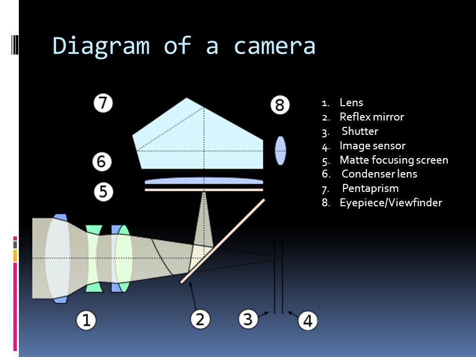 Diagram of a camera 1.Lens 2.Reflex mirror 3. Shutter 4.Image sensor 5.Matte focusing screen 6.