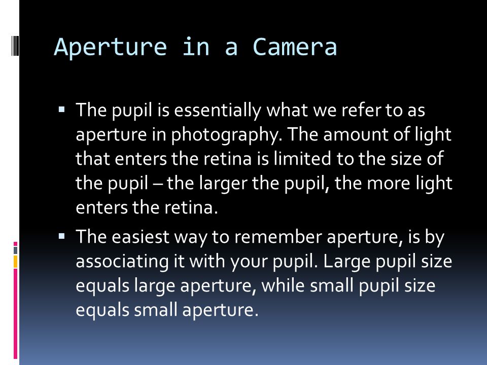 Aperture in a Camera  The pupil is essentially what we refer to as aperture in photography.