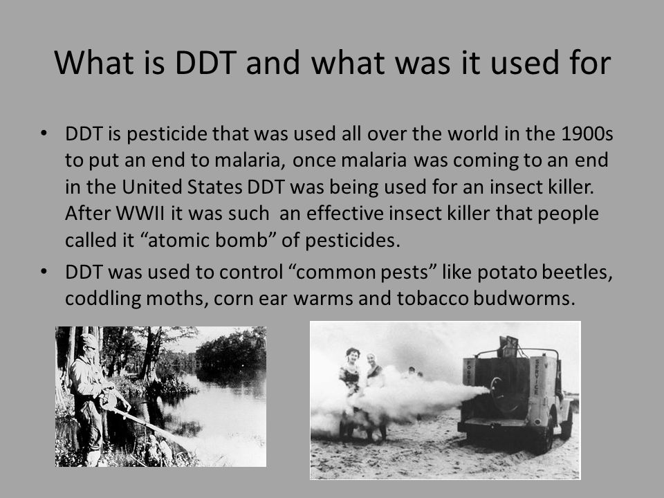 What is DDT and what was it used for DDT is pesticide that was used all over the world in the 1900s to put an end to malaria, once malaria was coming to an end in the United States DDT was being used for an insect killer.