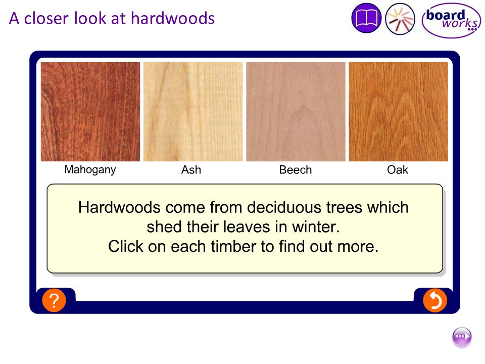A closer look at hardwoods