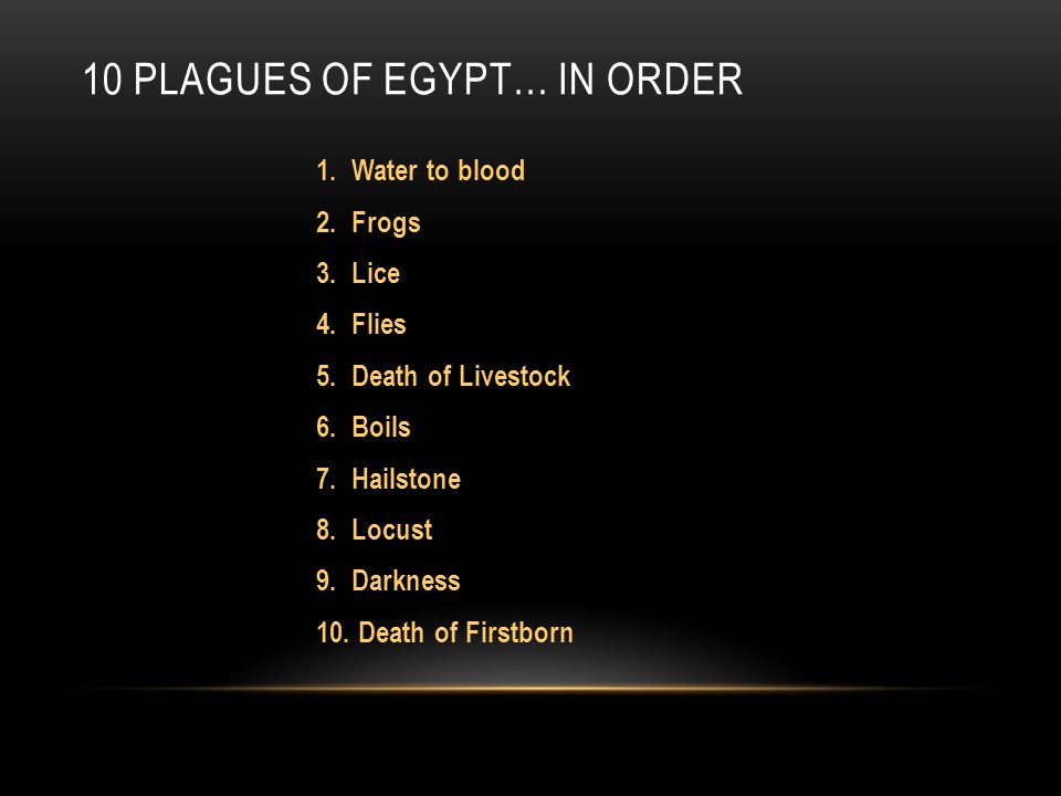 The 10 2024 plagues in order