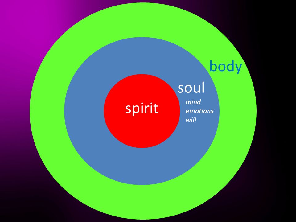 spirit soul body mind emotions will