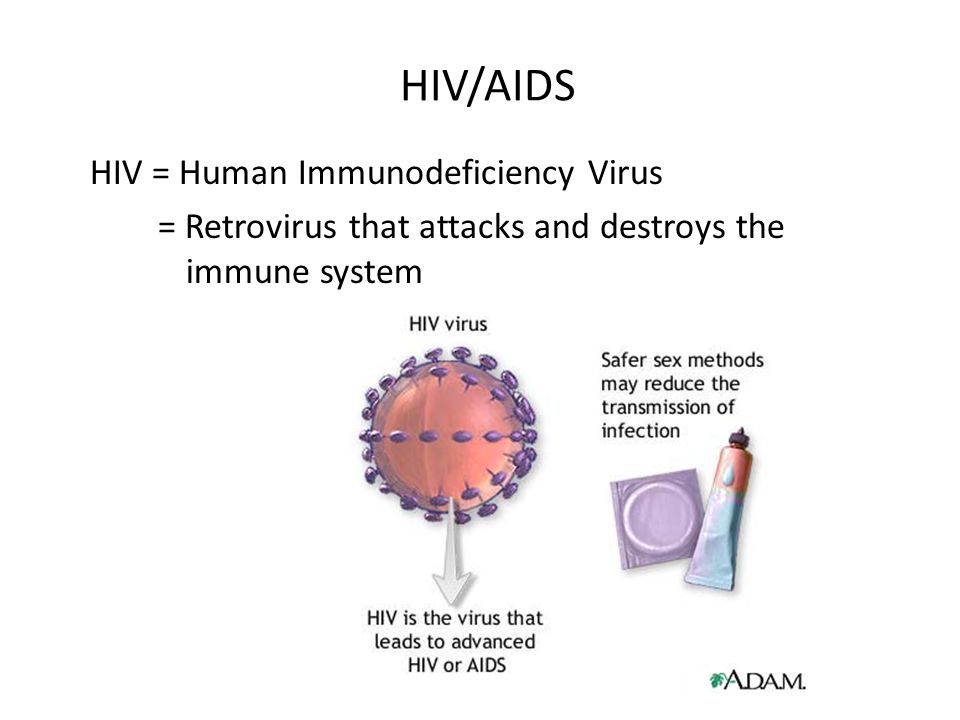 HIV/AIDS HIV = Human Immunodeficiency Virus = Retrovirus that attacks and destroys the immune system