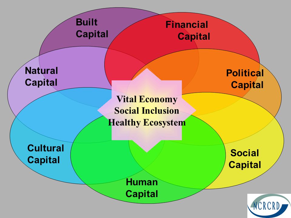 Political Capital Cultural Capital Natural Capital Human Capital Financial Capital Social Capital Built Capital Vital Economy Social Inclusion Healthy Ecosystem
