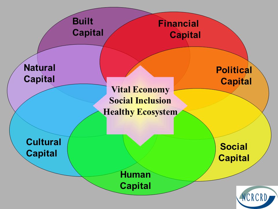 Political Capital Cultural Capital Natural Capital Human Capital Financial Capital Social Capital Built Capital Vital Economy Social Inclusion Healthy Ecosystem